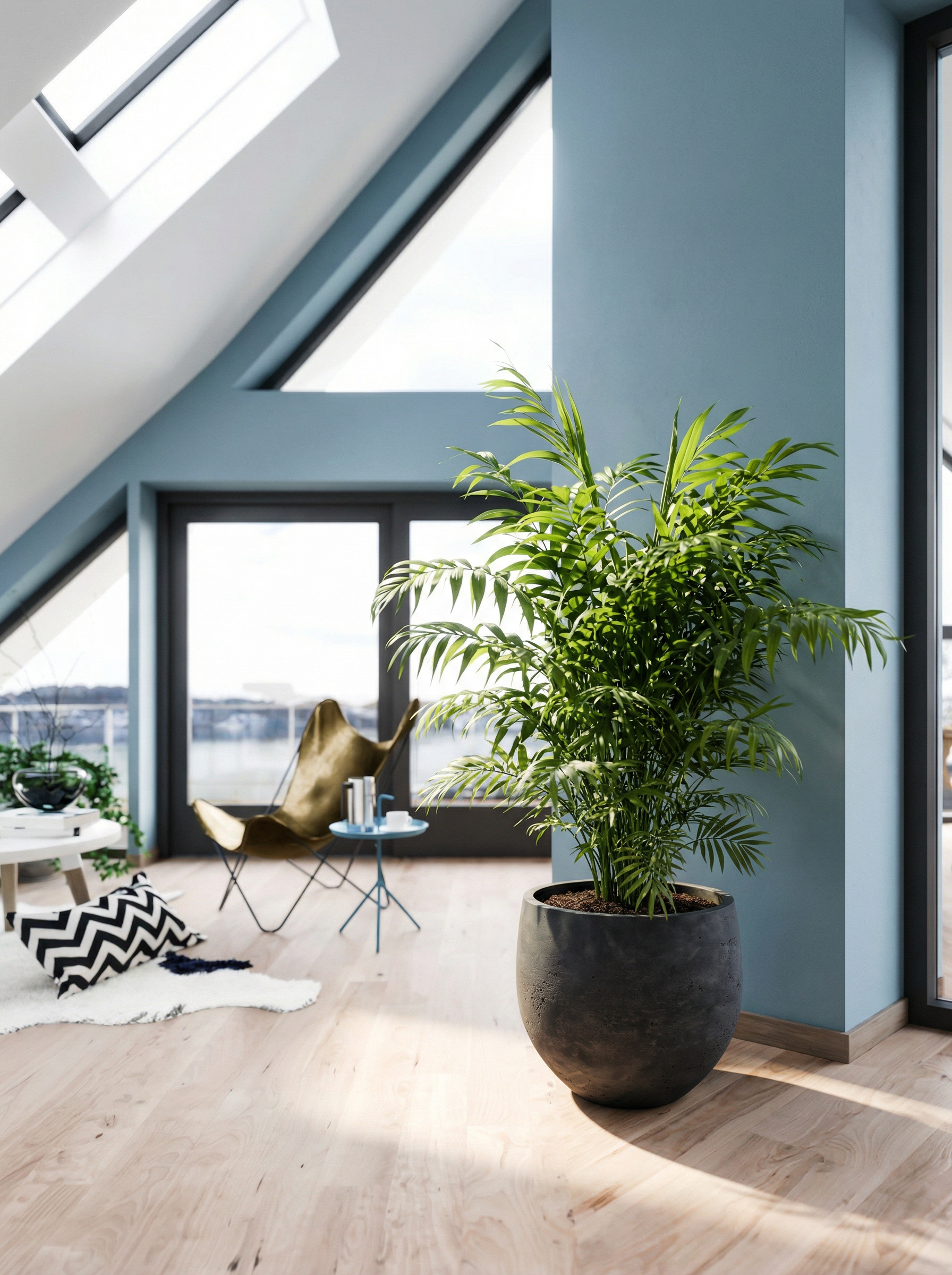 Bergpalm kopen - Plantelièr