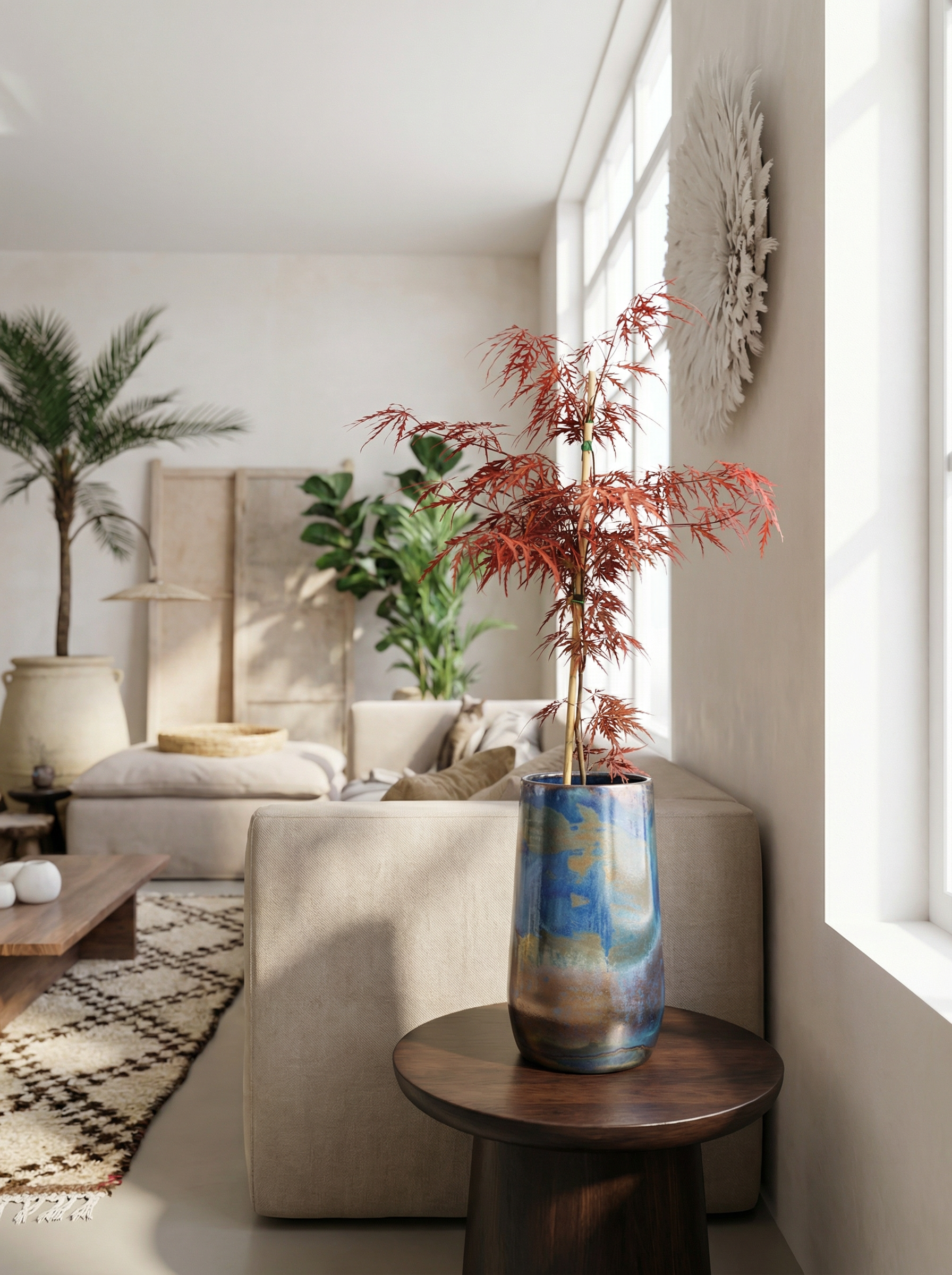 Japanse esdoorn 'Garnet' kopen - Plantelièr