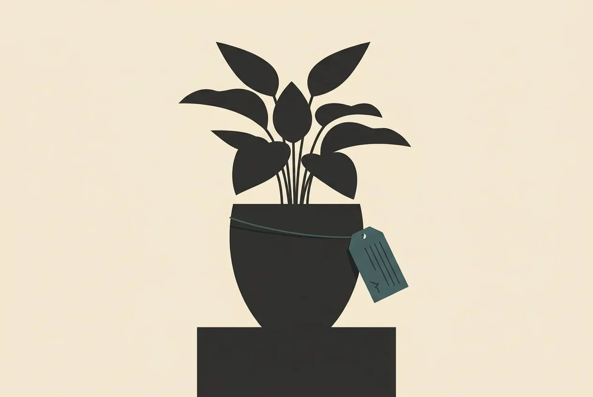 Grote kamerplant in een mat keramische pot op een houten vloer