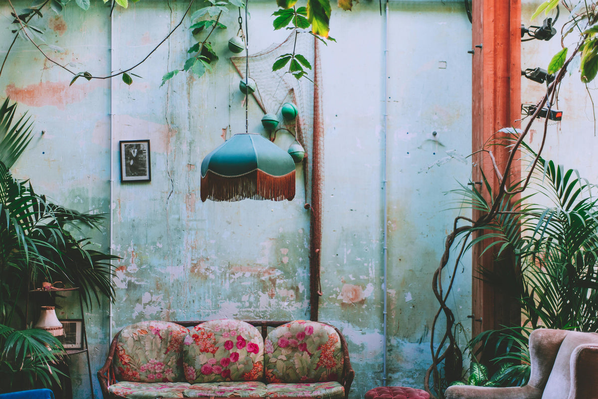 Boho planten: warme vormen voor een bohemian interieur