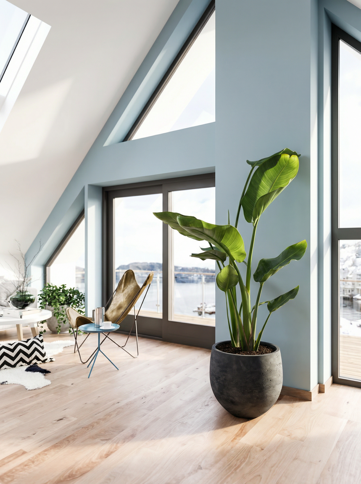 Strelitzia Nicolai paradijsvogelbloem 70–120 cm in mat keramische pot