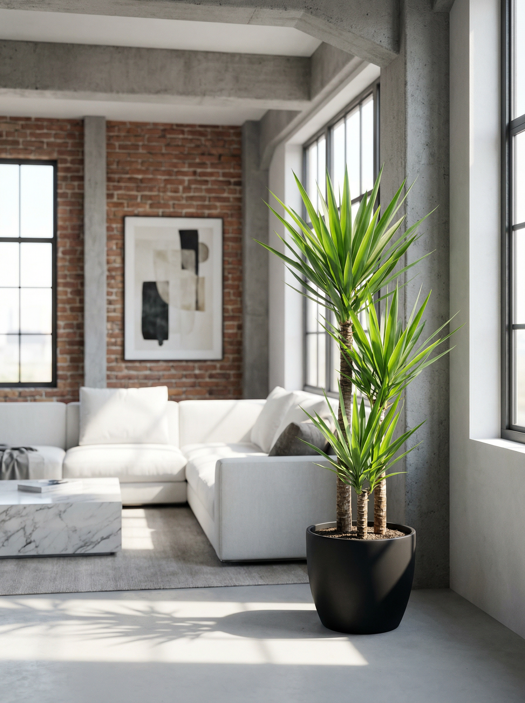 Yucca elephantipes palmlelie 100–140 cm in mat keramische pot