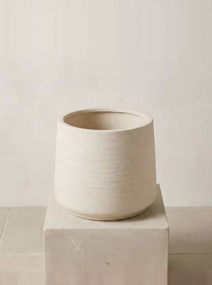 Jumbo Patt Ivory Washed