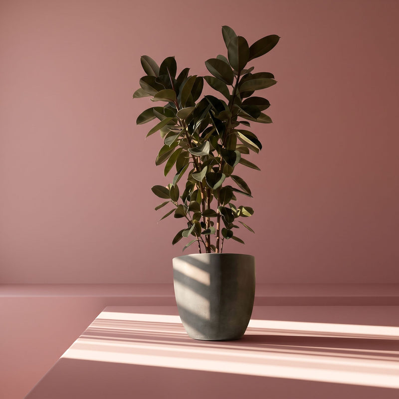 Warm minimalisme