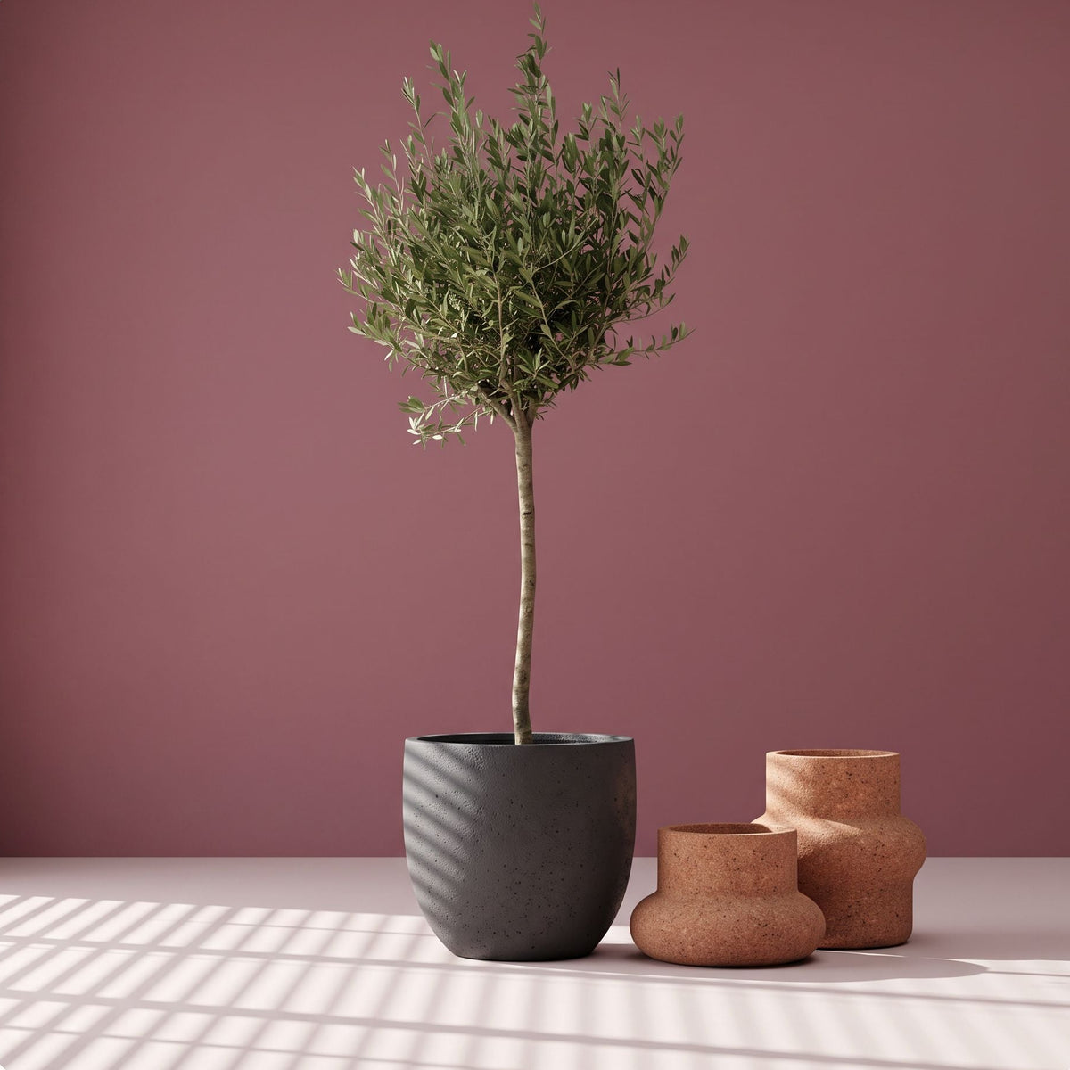 Mediterraans interieur met warm licht, terracotta en een olijfboom